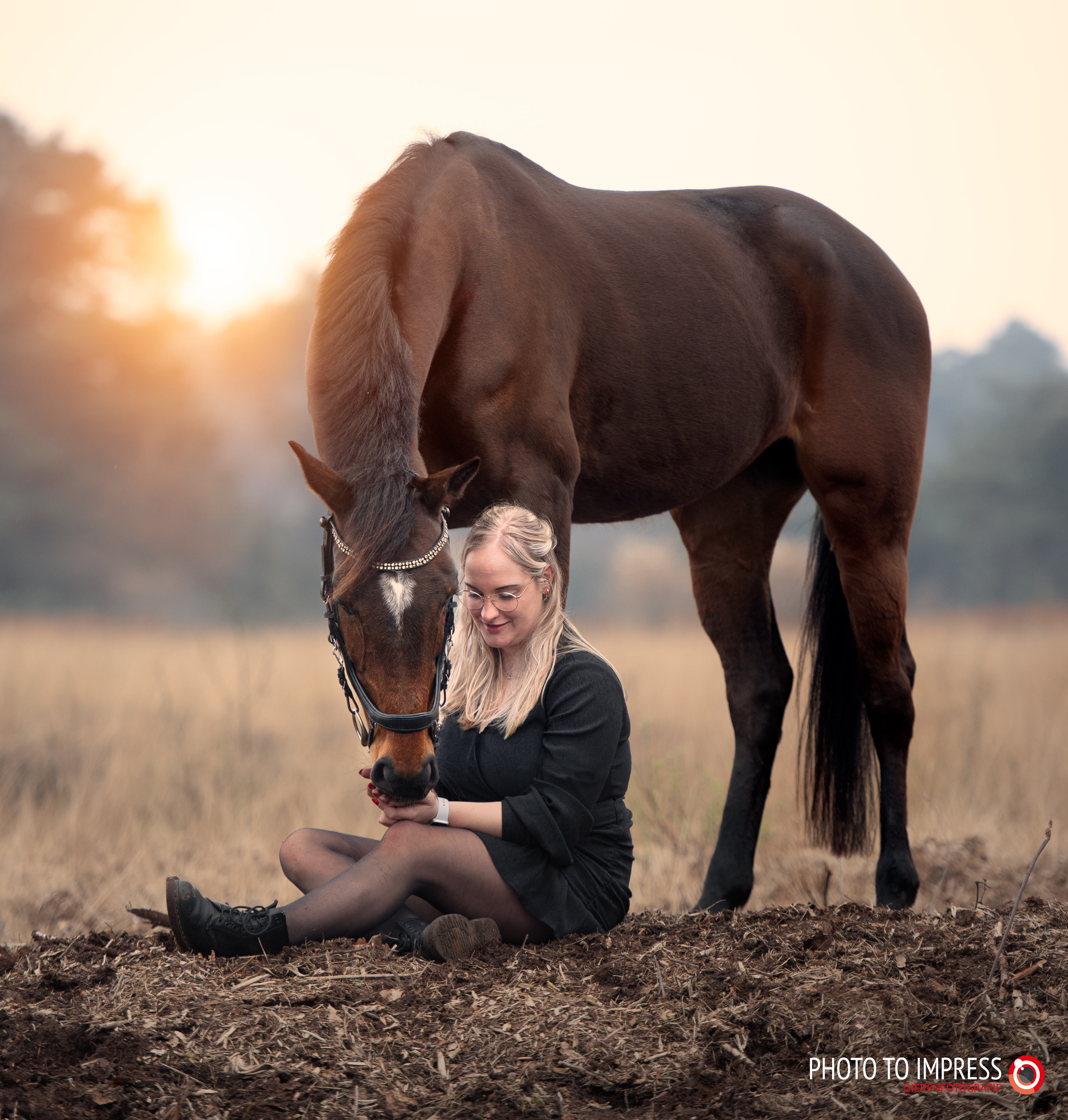 paardenfotograaf, paardenfotografie